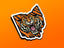 Ohio Tiger Stripe w/Tiger