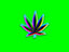 Cannabis Leaf