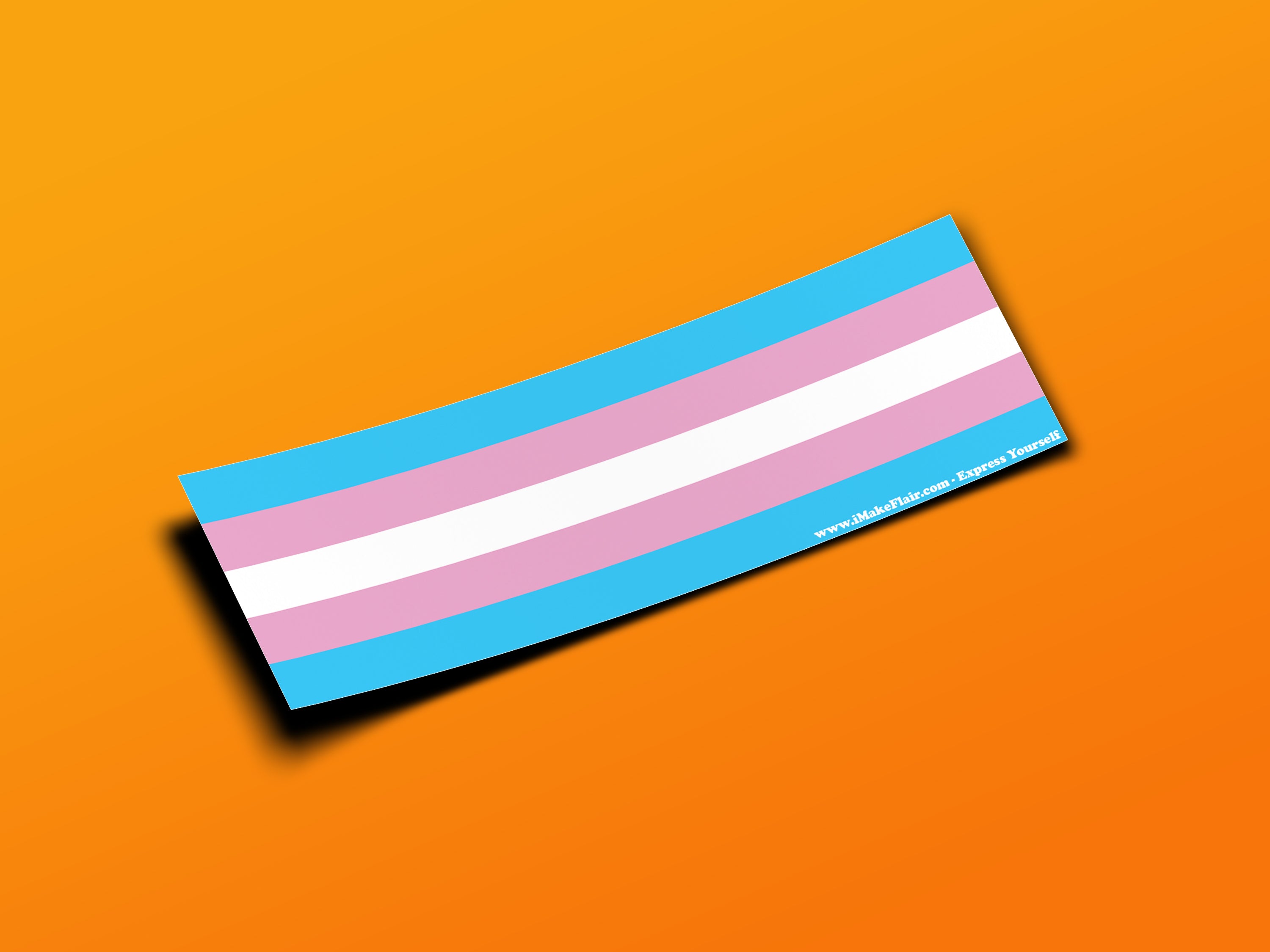 Transgender Pride Main image