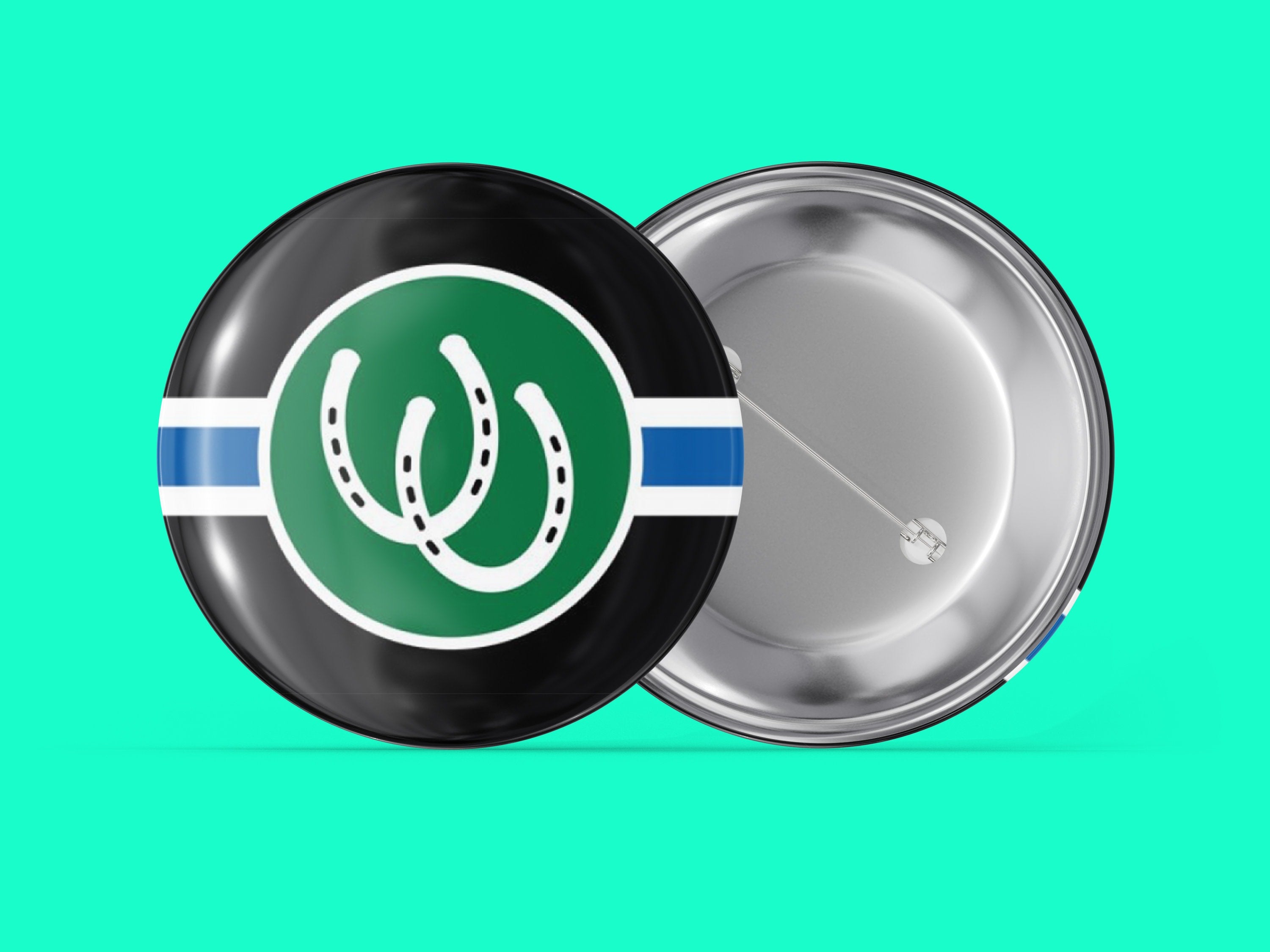 Pony Main image