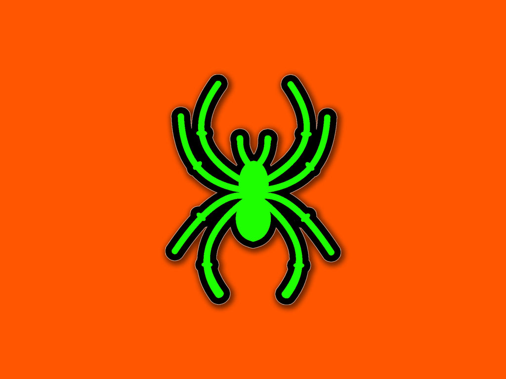 Green and Black Spider