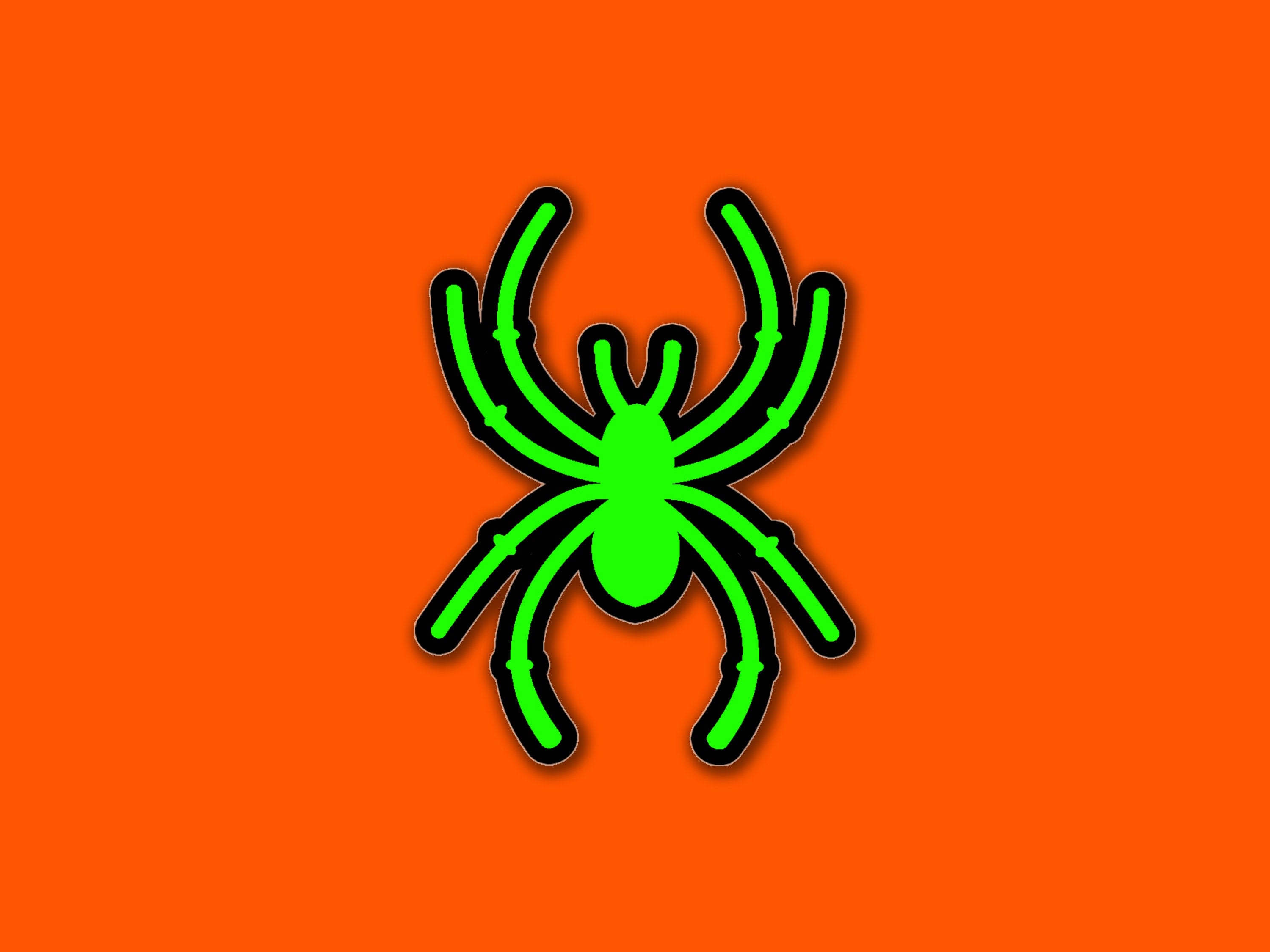 Green and Black Spider