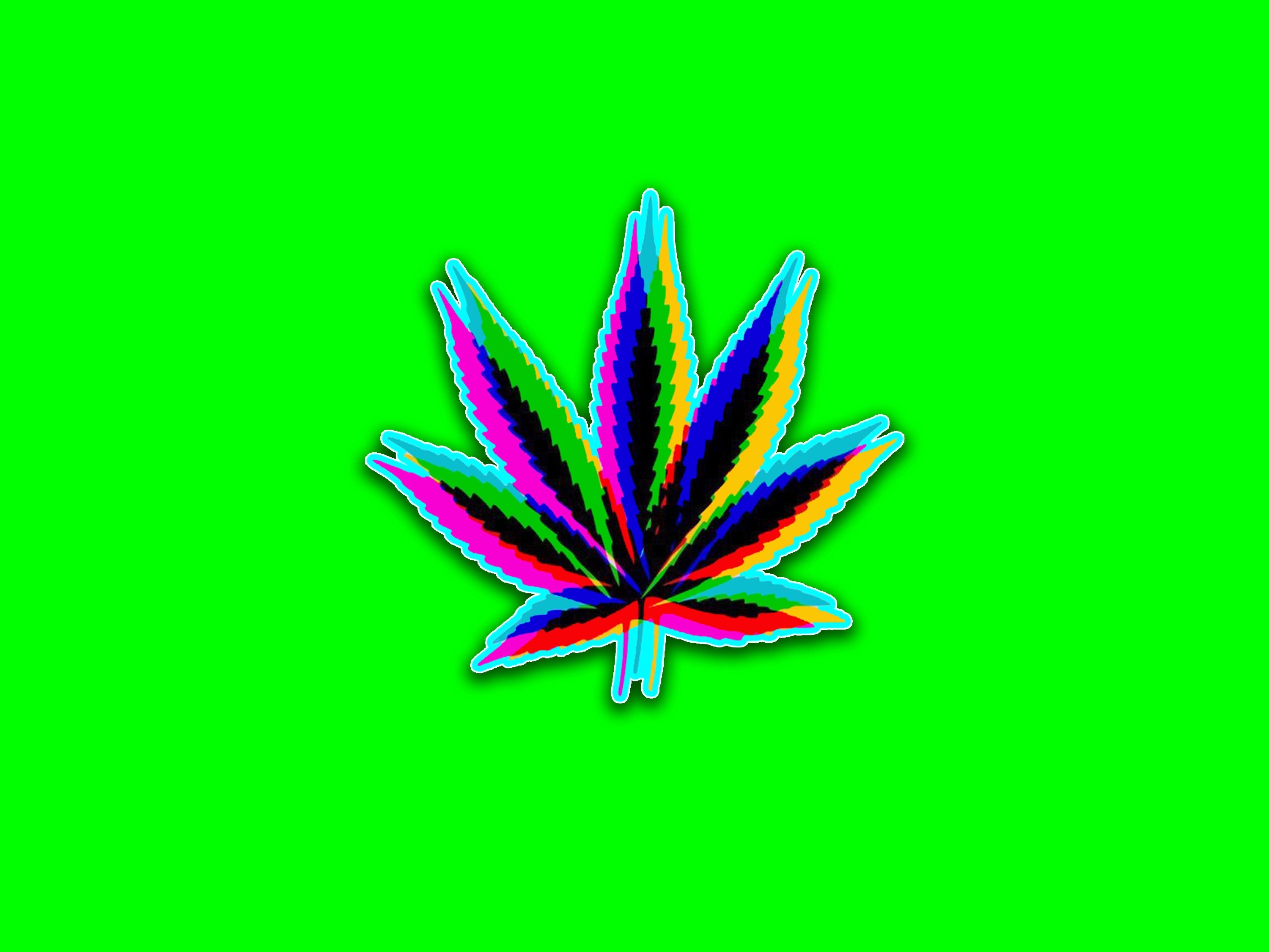 Cannabis Leaf Main image