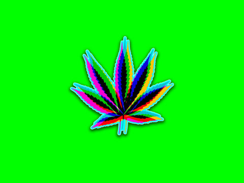 Cannabis Leaf